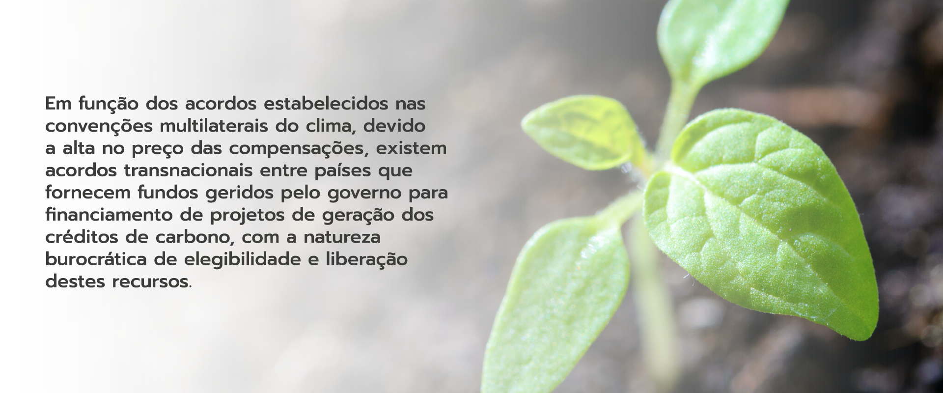 Depoimento 1