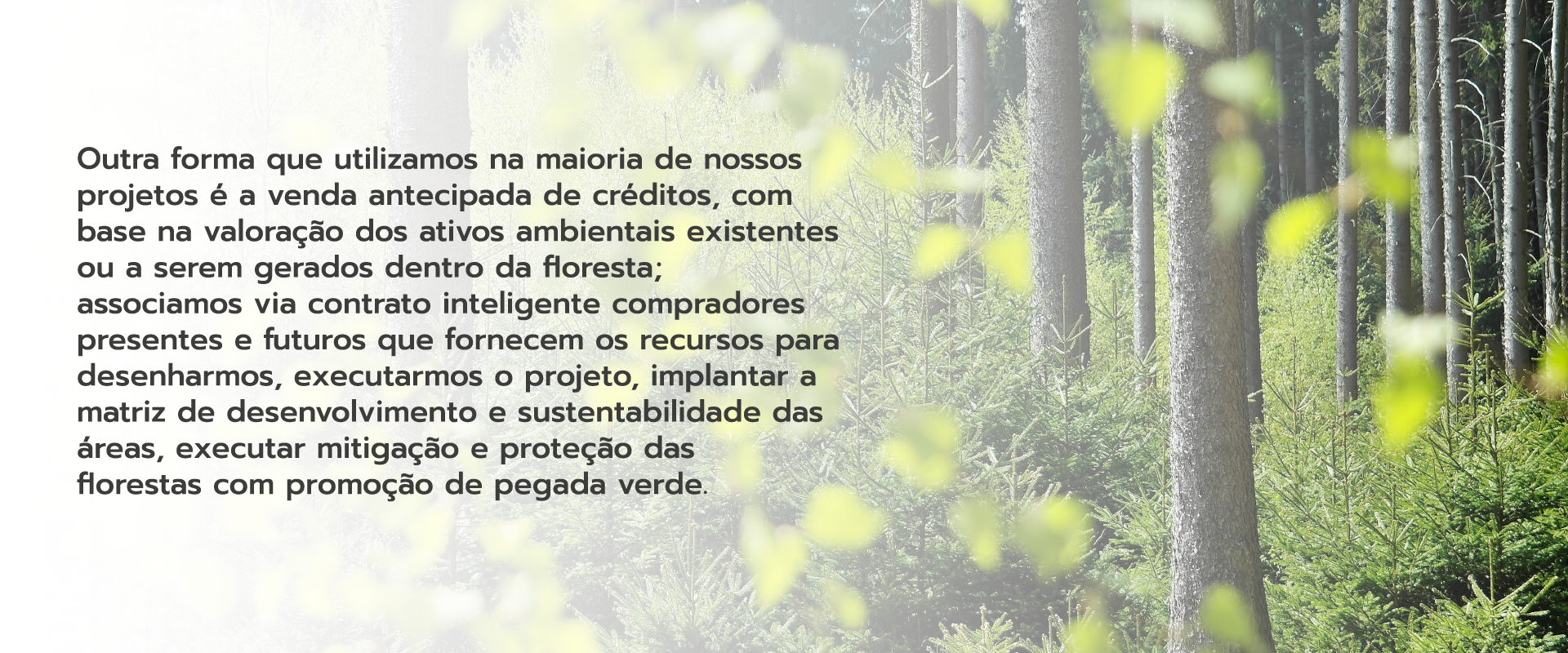 Depoimento 2